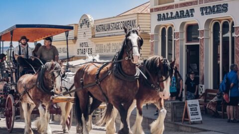 Sovereign Hill (21/2) featured on Industry Leaders TV Show