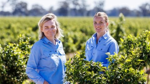 GoFARM featured on Industry Leaders TV Show